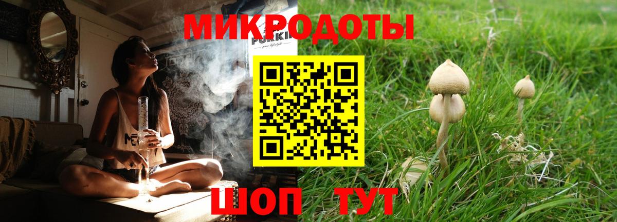 Псилоцибиновые грибы Psilocybe  Вход с VPN  Соль-Илецк  Галлюциногенные грибы Psilocybe 
