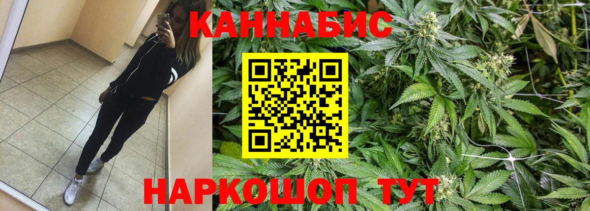 Бошки Шишки тримм  Вход с VPN  Соль-Илецк  Бошки Шишки планчик  Марихуана OG Kush 